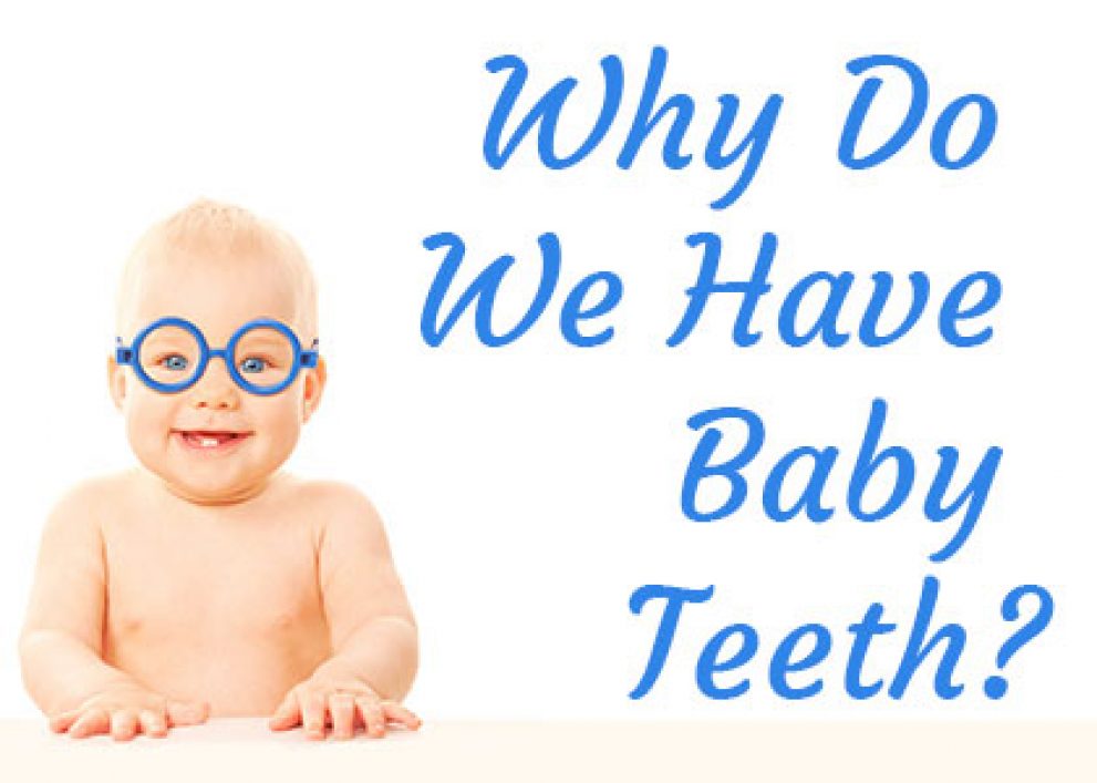 Baby Teeth in Odenton Bayside Kids Dental Drs. Kenny & Sarrah Zamora